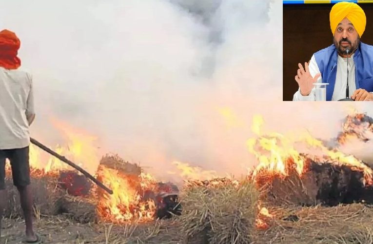 पंजाब में पराली जलाने का सिलसिला जारी , बिगड़ी हवा की गुणवत्ता, कई शहरों में AQI खतरनाक स्तर पर